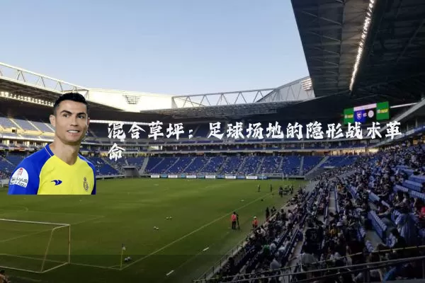 混合草坪：足球场地的隐形战术革命